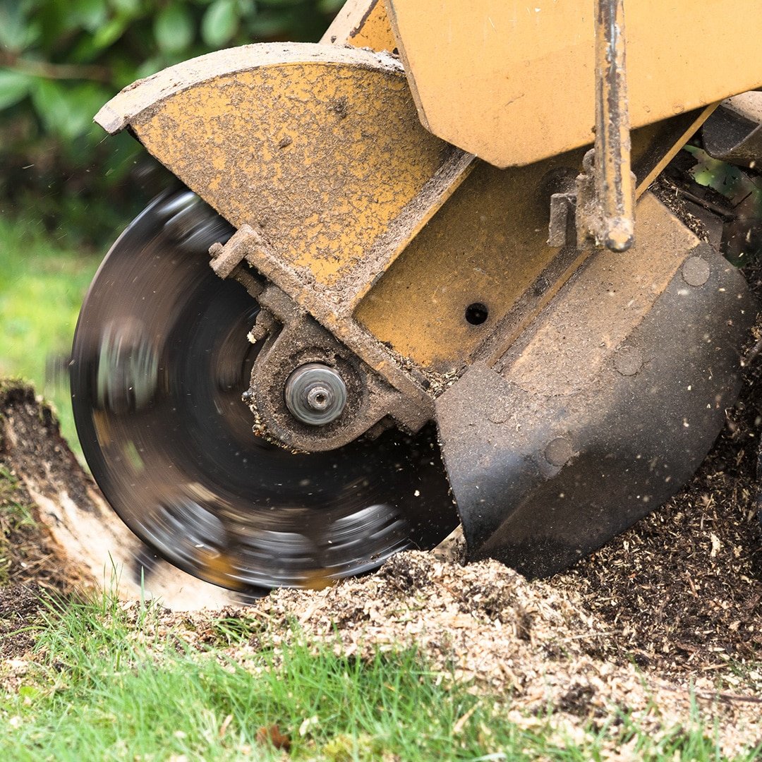 Stump-grinder